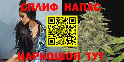 тгк Пенза