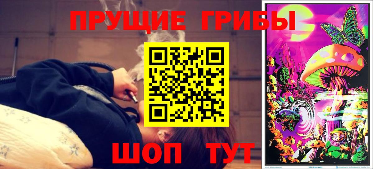 Галлюциногенные грибы Psilocybe Реж